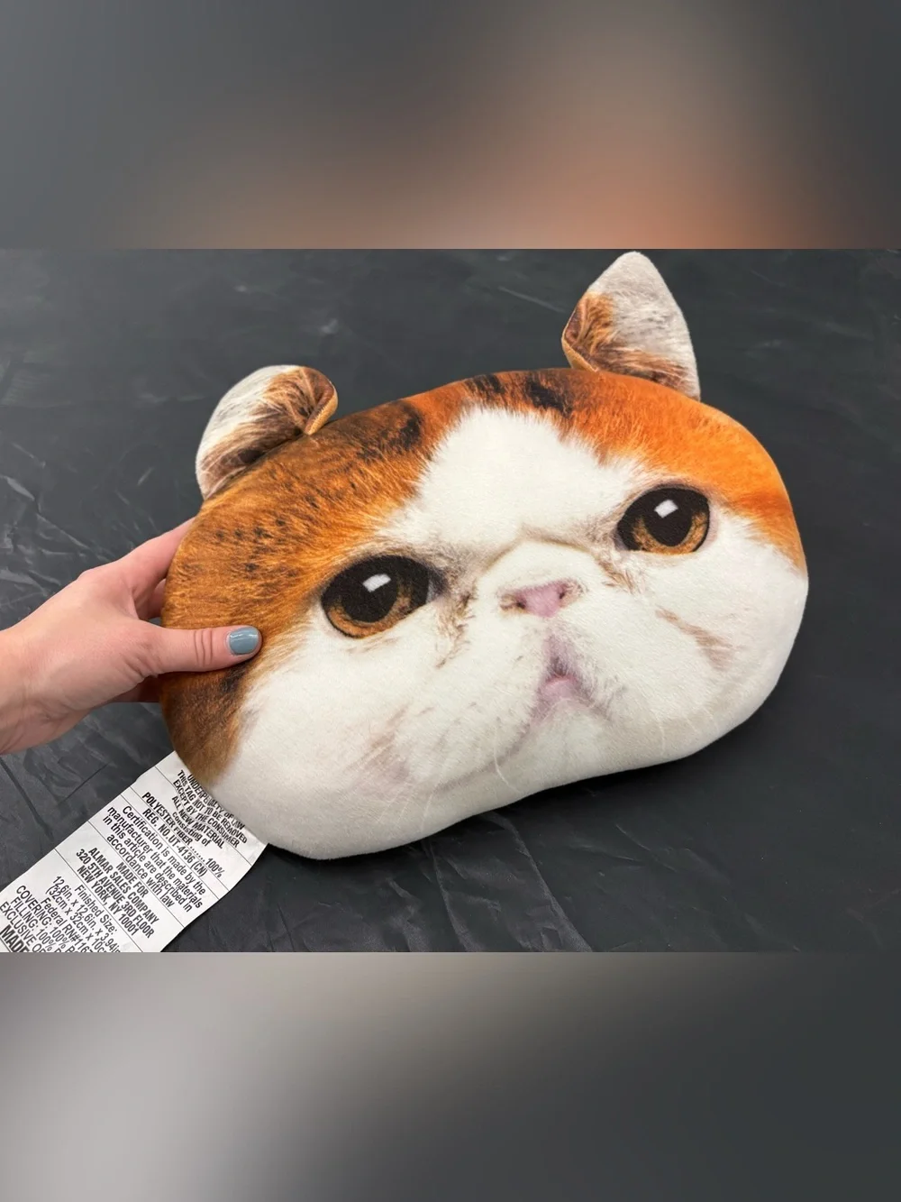Plush Cat Face Pet Pillow Snoopy Cat Pillow